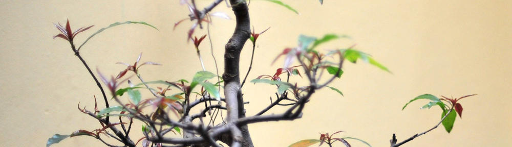 SłodkiPodarunek.com.pl